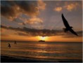 /album/galeria-de-fotos/a1-jpg/