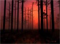/album/galeria-de-fotos/a2-jpg/