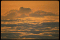 /album/galeria-de-fotos/a604003-gif/